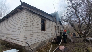 В Чаусском районе горел дачный дом