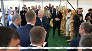 Лукашенко о хранении и реализации картофеля: нужно на полную катушку подключать торговые сети