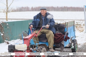 Житель деревни Голочево Чаусского района Анатолий Шкредов напротив своего дома высадил аллею из ёлочек