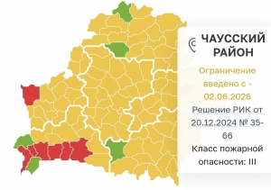 В Беларуси действуют запреты и ограничения на посещение лесов. Что ждёт нарушителей?