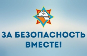 С 17 марта по 4 апреля 2025 года проводится Республиканская профилактическая акция «За безопасность вместе»