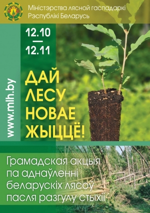 Дай лесу новае жыццё!