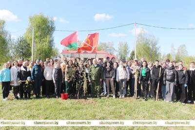 В Чаусах появилась новая аллея в честь 80-летия Победы