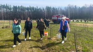 Единство поколений: к 80-летию Победы ветераны и молодежь Чаусского района совместно высадили деревья
