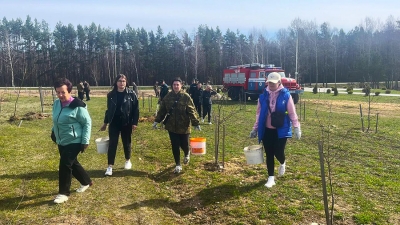 Единство поколений: к 80-летию Победы ветераны и молодежь Чаусского района совместно высадили деревья