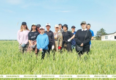 Студенческий отряд &ldquo;Юность&rdquo; из Осиновки помогает ОАО &laquo;Агросервис&raquo; г. Чаусы в видовой прополке зерновых