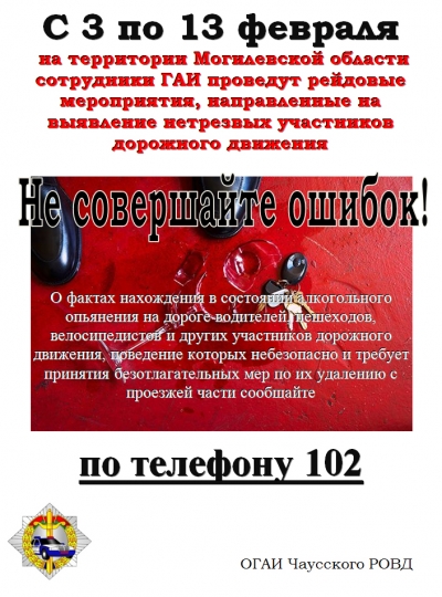 Информационные материалы для проведения профилактической работы в рамках комплекса мер, направленных на профилактику дорожно-транспортного травматизма по причине нетрезвого состояния участников дорожного движения  (с 3 по 13 февраля 2023 года)