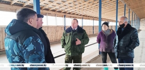 В Чаусском районе с выездом в ОАО “Головенчицы” проанализирована работа в животноводстве