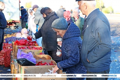 Уже завтра в Чаусах пройдёт очередная сельскохозяйственная ярмарка