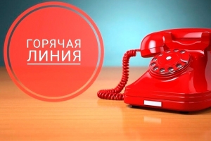 Могилевским облисполкомом 11 сентября 2026 года будет проводиться тематическая горячая во вопросам соблюдения прав и гарантий для молодых специалистов